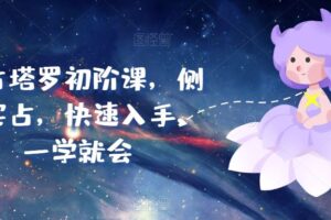 实占塔罗初阶课，侧重实占，快速入手，一学就会-麦资源网