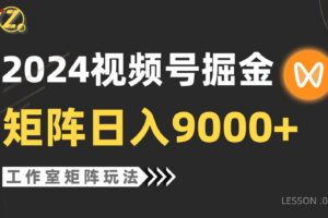 （9709期）【蓝海项目】2024视频号自然流带货，工作室落地玩法，单个直播间日入9000+-麦资源网