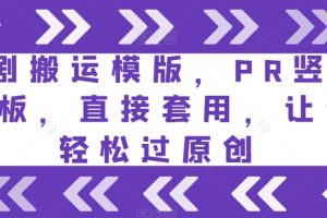 短剧搬运模版，PR竖版模板，直接套用，让你轻松过原创-麦资源网