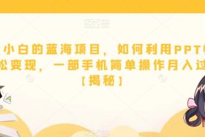 适合小白的蓝海项目，如何利用PPT模板轻松变现，一部手机简单操作月入过万【揭秘】-麦资源网
