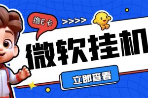 （6737期）最新微软协议挂机无限撸京东E卡项目 每天10分钟批量无限放大【脚本+教程】-麦资源网