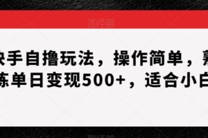 快手自撸玩法,操作简单,熟练单日变现500+,适合小白【揭秘】-麦资源网