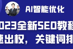 （6554期）2023最新网站AI智能优化SEO教程，简单快速出权重，AI自动写文章+AI绘画配图-麦资源网