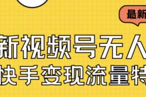 最新视频号无人直播转快手变现美女玩法日入500+【教程+素材】-麦资源网