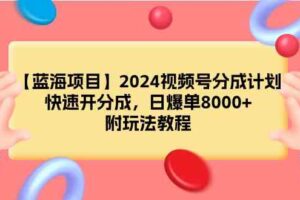 （9308期）【蓝海项目】2024视频号分成计划，快速开分成，日爆单8000+，附玩法教程-麦资源网