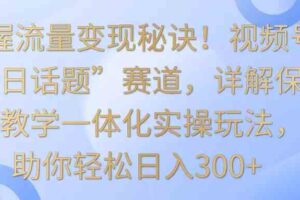 掌握流量变现秘诀！视频号“今日话题”赛道，详解保姆式教学一体化实操玩法，日入300+-麦资源网