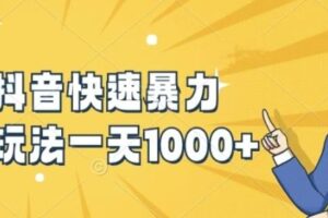 快手抖音快速暴力涨粉玩法，新手小白也能学会，一天1k+【揭秘】-麦资源网