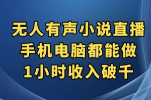 抖音无人有声小说直播，手机电脑都能做，1小时收入破千【揭秘】-麦资源网