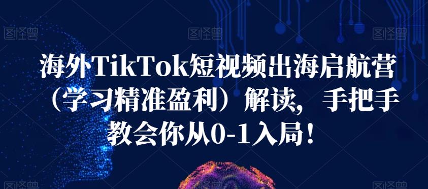 海外TikTok短视频出海启航营（学习*盈利）解读，手把手教会你从0-1入局！
