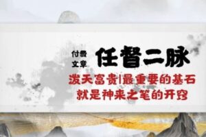 某付费文章《任督 二脉 泼天富贵|最重要的基石 就是神来之笔的开窍|万字》-麦资源网