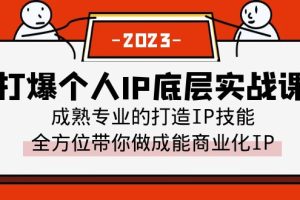 （6417期）打爆·个人IP底层实战课，成熟专业的打造IP技能 全方位带你做成能商业化IP-麦资源网