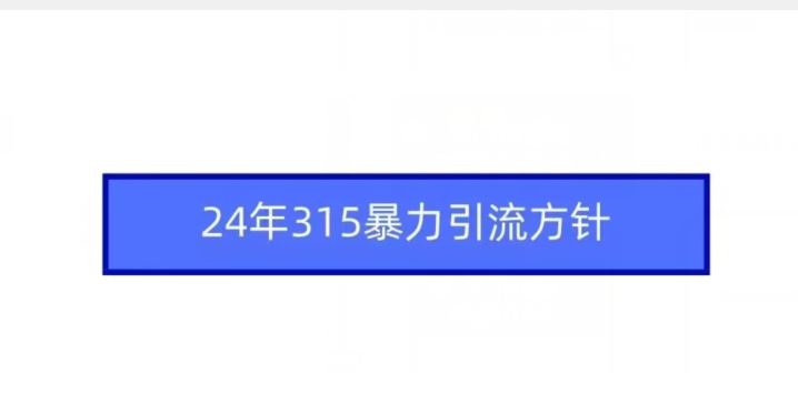 24年315*引流方针