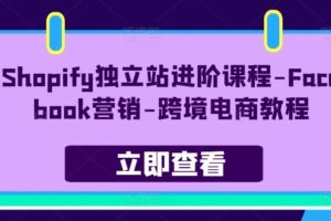 Shopify独立站进阶课程-Facebook营销-跨境电商教程-麦资源网