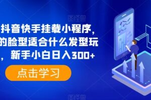 0粉抖音快手挂载小程序，你的脸型适合什么发型玩法，新手小白日入300+【揭秘】-麦资源网