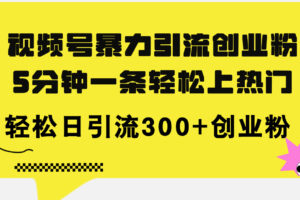 （11754期）视频号暴力引流创业粉，5分钟一条轻松上热门，轻松日引流300+创业粉-麦资源网