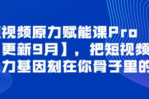 （3888期）短视频原力赋能课Pro【更新9月】，把短视频能力基因刻在你骨子里的课-麦资源网