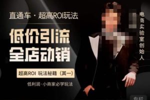 电商冰可乐·直通车·《低价引流·全店动销》，直通车·超高ROI玩法（其一）全店动销必学玩法-麦资源网