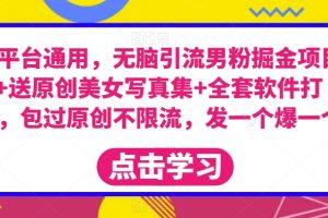 全平台通用，无脑引流男粉掘金项目+送原创美女写真集+全套软件打包，包过原创不限流，发一个爆一个【揭秘】-麦资源网