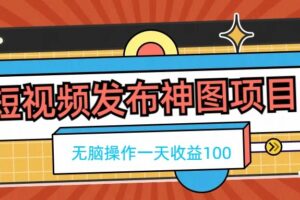 短视频发布神图项目，无脑操作，一天收益100-麦资源网