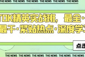 TIKTOK精英实战班，最全·最新·最干·紧贴热点·深度学习-麦资源网