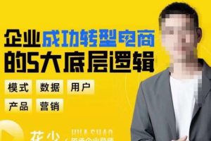 企业成功转型电商的5大底层逻辑,从模式、数据、用户、产品、营销5大板块,助你高效转型电商赛道-麦资源网