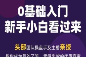 2024年新媒体流量变现运营笔记，教你成为引的了流，卖得出货的优质商家-麦资源网