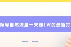 视频号自然流量一天赚1W的最新打法,基本0投资【揭秘】-麦资源网