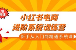 （4952期）小红书电商进阶系统训练营：新手从入门到精通系统课（21节视频课）-麦资源网