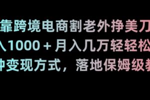 靠跨境电商割老外挣美刀，日入1000＋月入几万轻轻松松！多种变现方式，落地保姆级教程【揭秘】-麦资源网