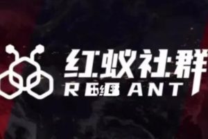 社群运营：红蚁社群【48节落地系统课程+2000人高端社群】-麦资源网