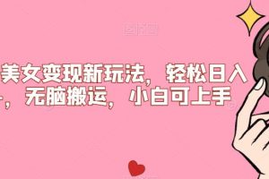 比基尼美女变现新玩法，轻松日入500+，无脑搬运，小白可上手【揭秘】-麦资源网