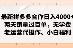 (11343期)最新拼多多合作日入4000+两天销量过百单,无学费、老运营代操作、小白福利-麦资源网