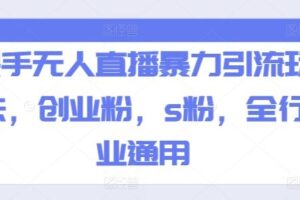 快手无人直播暴力引流玩法，创业粉，s粉，全行业通用-麦资源网