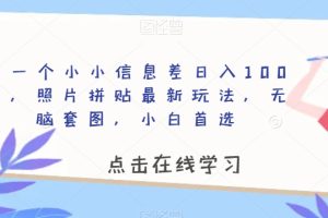 靠一个小小信息差日入100＋，照片拼贴最新玩法，无脑套图，小白首选【揭秘】-麦资源网
