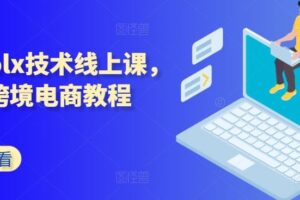 波兰olx技术线上课，kim跨境电商教程-麦资源网