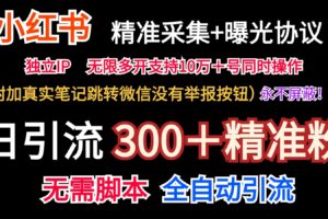 小红薯精准采集+无限曝光+真实笔记跳转微信,永不屏蔽(日引300+精准粉)-麦资源网