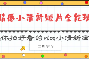 情感小清新短片全能班-教你拍好看的vlog小清新画面（30节课）-麦资源网