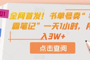 全网首发!书单号卖“学霸笔记”一天1小时,月入3W+【揭秘】-麦资源网