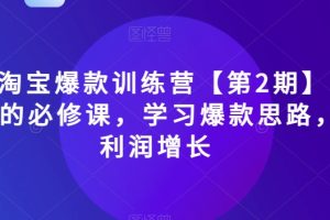#原创                                                                                                 2023淘宝爆款训练营【第2期】，电商运营的必修课，学习爆款思路，实现利润增长-麦资源网