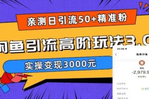 (5739期)实测日引50+精准粉,闲鱼引流高阶玩法3.0,实操变现3000元-麦资源网