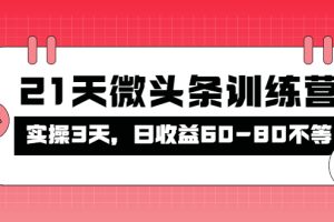 （4129期）被忽视的微头条，21天微头条训练营，实操3天，日收益60-80不等-麦资源网