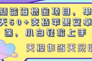 （11287期）最新蓝海撸金项目，单号一天50+， 支持苹果安卓双端，小白轻松上手 当…-麦资源网