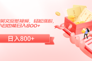 熊出没中英文反差视频，轻松涨粉，小白也能日入800+-麦资源网