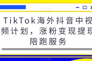 TikTok海外抖音中视频计划，涨粉变现提现陪跑服务-麦资源网