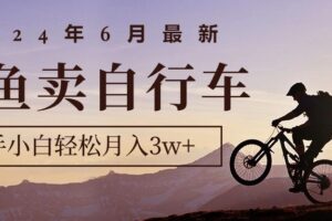 （10915期）2024年6月最新闲鱼卖自行车，新手小白轻松月入3w+项目-麦资源网