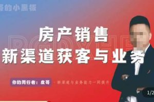 皮哥·房产销售新渠道获客与业务,打造新时代房产经纪达人,助力行业新人成长为业内精英-麦资源网