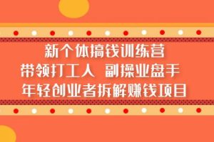 （5308期）新个体搞钱训练营：带领打工人 副操业盘手 年轻创业者拆解赚钱项目-麦资源网