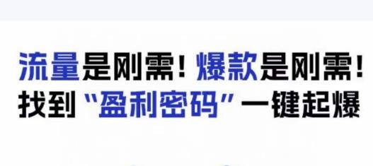 电商盈利精品课：6大盈利密码让产品更好卖，流量是刚需！*是刚需！找到”盈利密码”一键起爆