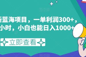 闲鱼最新蓝海项目，一单利润300+，每天1小时，小白也能日入1000+【揭秘】-麦资源网