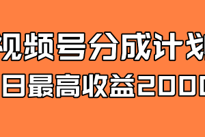 （7557期）全新蓝海 视频号掘金计划 日入2000+-麦资源网